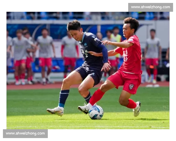 苏超应援团:跨省跨国的超级人脉网络 苏超应援团:跨省跨国的超级人脉网络